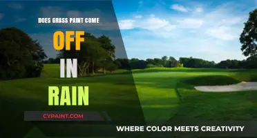 Will Grass Paint Survive Rain? Durability and Weather Resistance Explained
