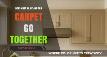 Gray Paint and Tan Carpet: A Harmonious Match or Mismatch?