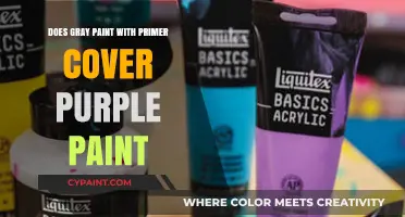 Gray Paint with Primer: Can It Effectively Cover Purple Walls?