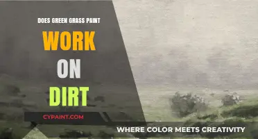 Does Green Grass Paint Effectively Transform Dirt Surfaces?