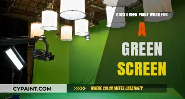 Does Green Paint Work for a Green Screen? The Truth Revealed