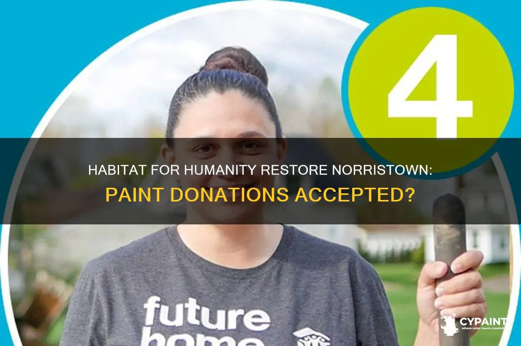 does habitat for humanity restore norristown take paint
