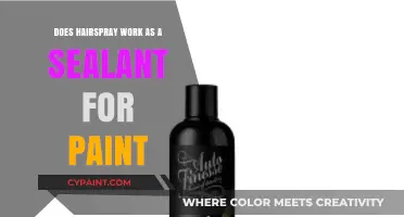 Hairspray as Paint Sealant: Effective Hack or Creative Myth?