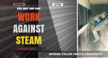 High Temp Paint vs. Steam: Does It Withstand Extreme Heat?