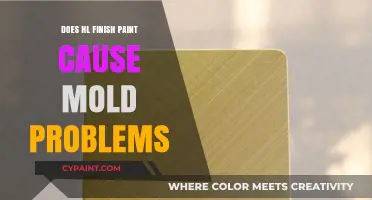 HL Finish Paint: Does It Contribute to Mold Growth Issues?