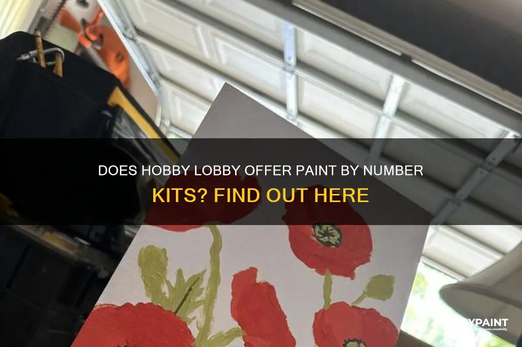 does hobby lobby have paint by number