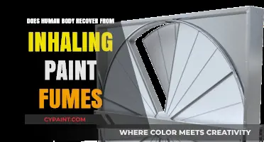 Can Your Body Recover from Inhaling Paint Fumes? Find Out Here