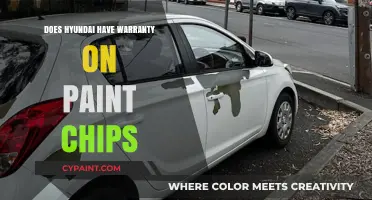 Hyundai Paint Chip Warranty: Coverage, Limitations, and Repair Options