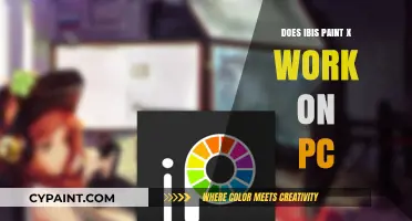 Can You Use Ibis Paint X on PC? A Comprehensive Guide