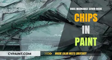Does Insurance Cover Rock Chips? Understanding Paint Damage Claims