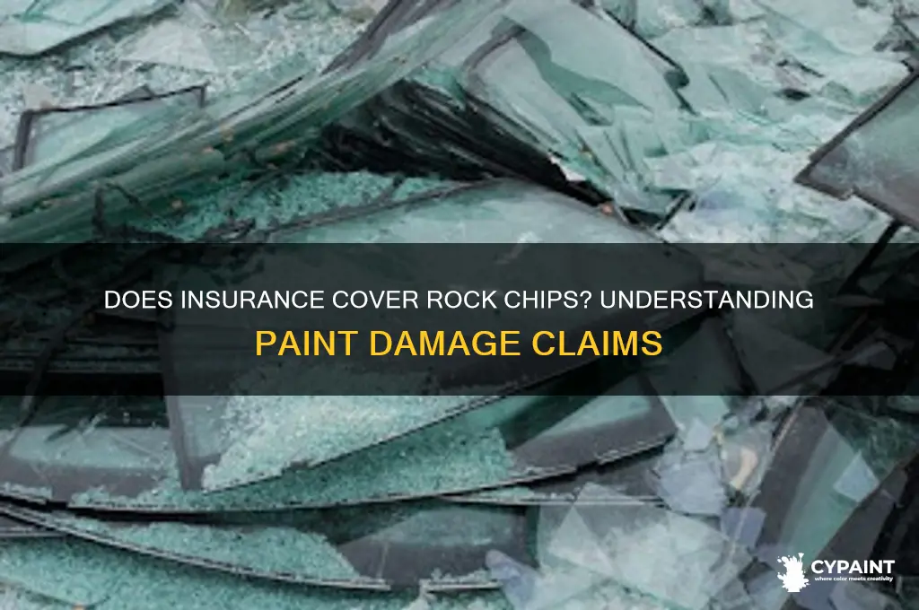 does insurance cover rock chips in paint