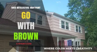 Intellectual Gray and Brown: A Perfect Color Harmony for Your Space