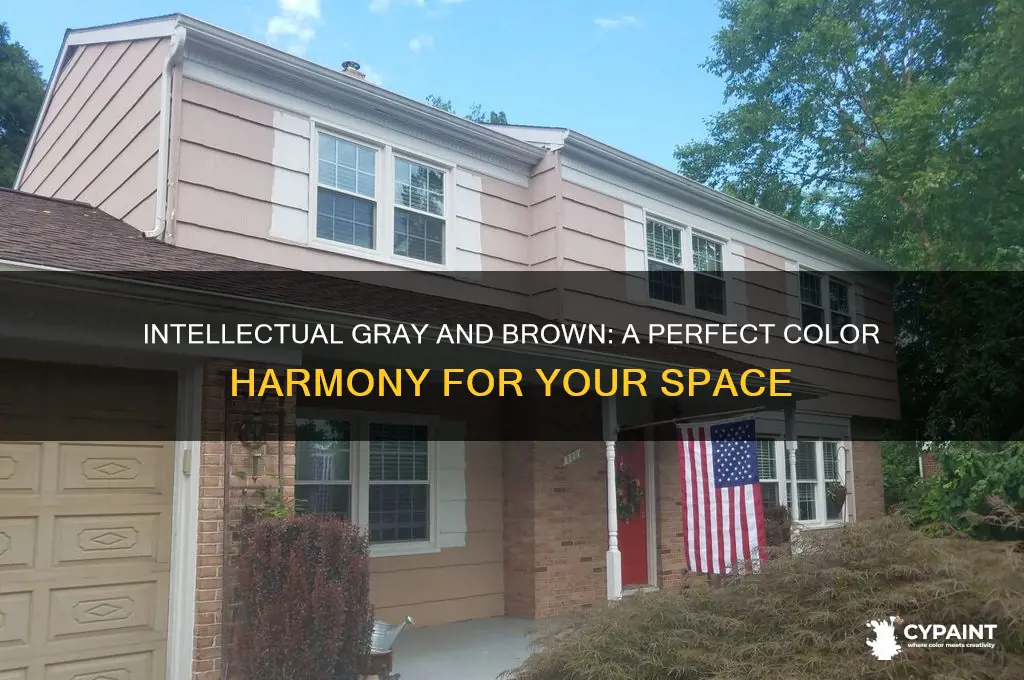 does intellectual gray paint go with brown