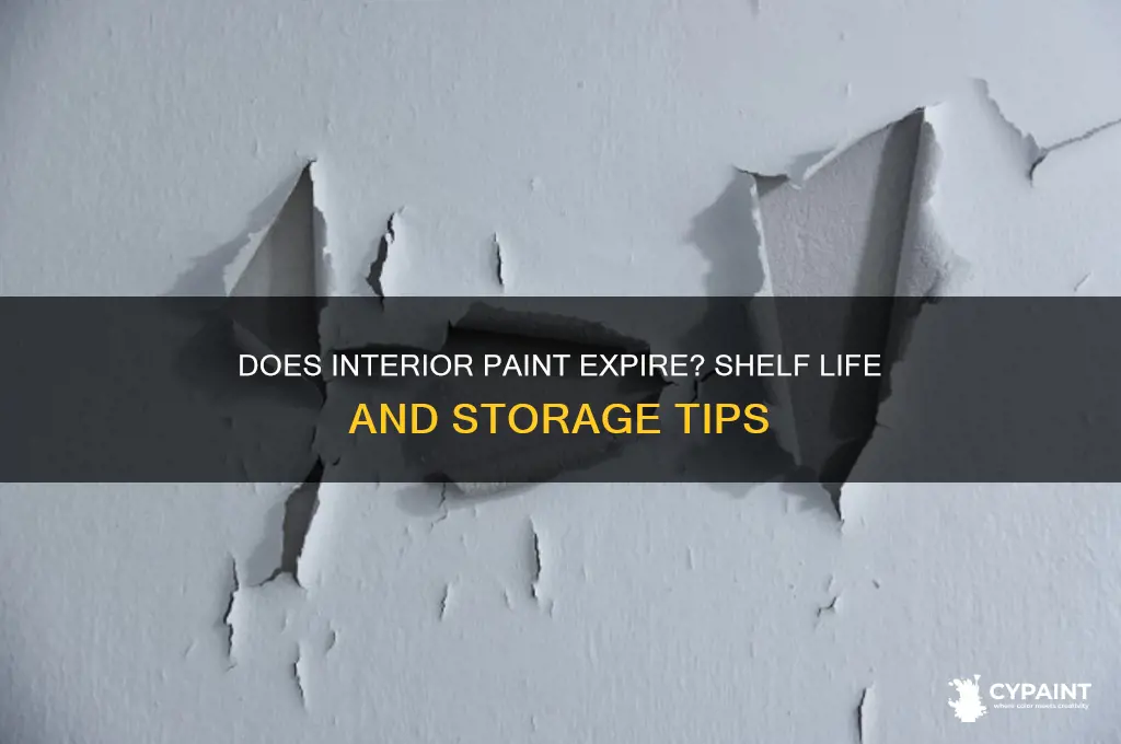 does interior paint have an expiration date