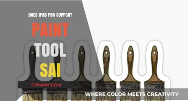 Can You Use Paint Tool SAI on iPad Pro? Compatibility Explained