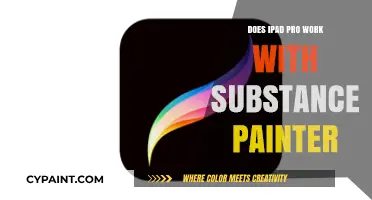 Can iPad Pro Run Substance Painter? Compatibility and Performance Explained