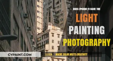 iPhone 11 Light Painting Photography: Features and Creative Possibilities
