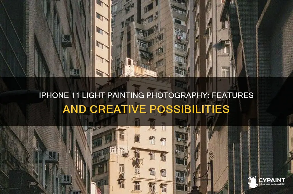 does iphone 11 have the light painting photography