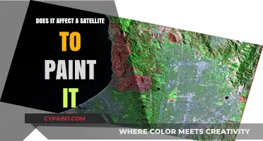 Painting Satellites: Aesthetic Choice or Orbital Performance Compromise?