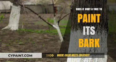 Tree Bark Painting: Harmful or Harmless?