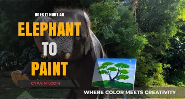 Does Elephant Painting Cause Pain? Exploring the Ethics and Welfare Concerns