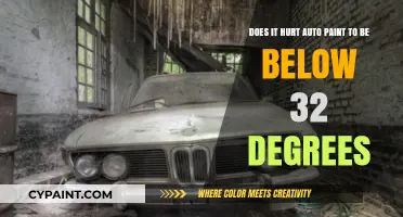 Can Cold Weather Below 32 Degrees Damage Your Car's Paint?
