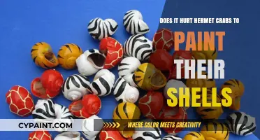 Painting Shells: Safe or Harmful for Hermit Crabs?