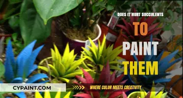 Painting Succulents: Harmful Practice or Creative Expression for Your Plants?
