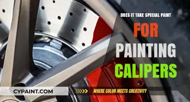 Special Paint for Calipers: Essential or Optional for DIY Projects?