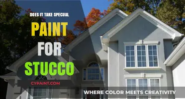 Does Stucco Require Special Paint? A Comprehensive Guide for Homeowners
