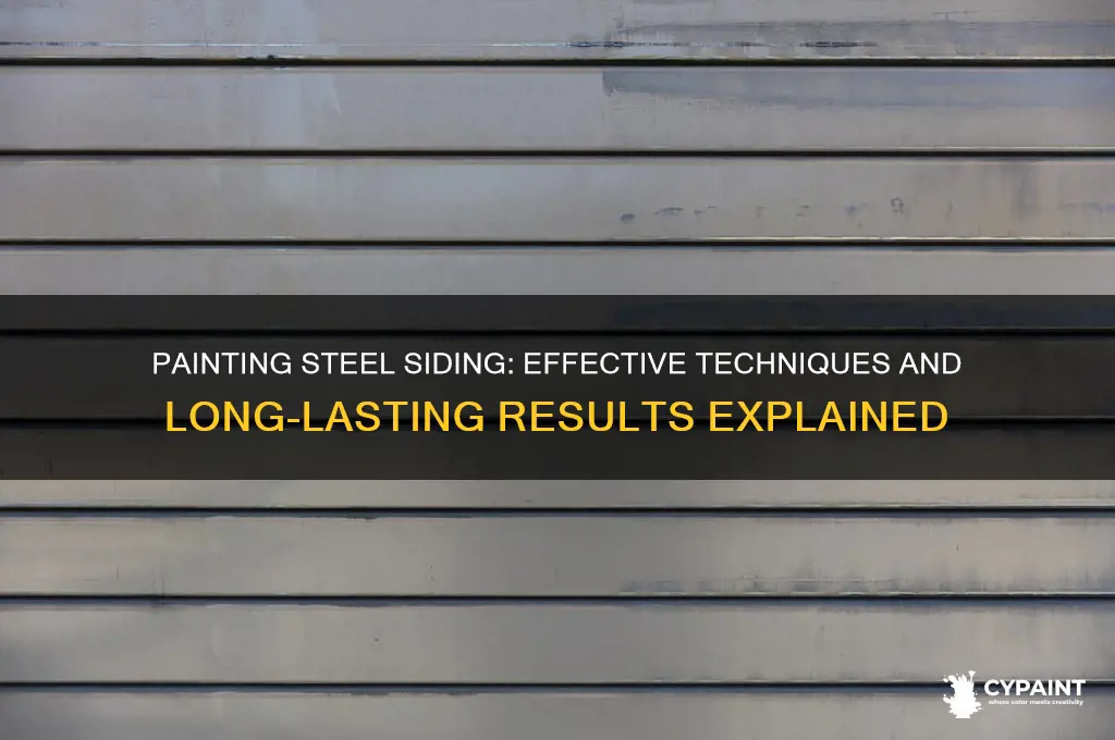 does it work to paint steel siding