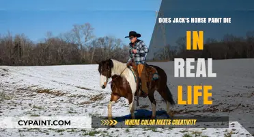 Jack's Horse: Did the Paint Survive?