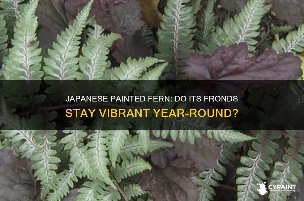 does japanese painted fern keep it
