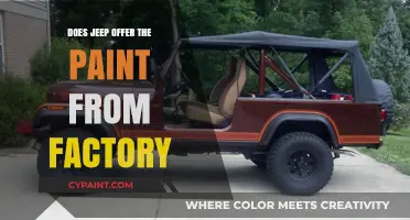 Does Jeep Offer Factory Paint Options for Customization?