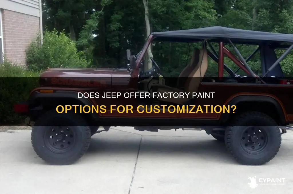 does jeep offer the paint from factory