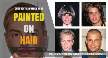 Joey Lawrence's Hair: Painted-On or Natural Look?