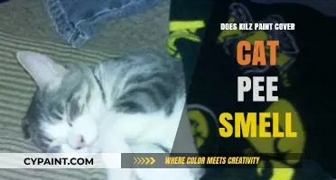 Can Kilz Paint Eliminate Cat Pee Smell? A Comprehensive Guide