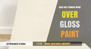 Can Kilz Primer Be Applied Over Gloss Paint? Expert Tips