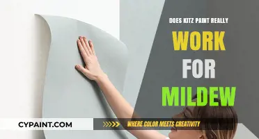 Does Kitz Paint Effectively Prevent and Remove Mildew? A Review