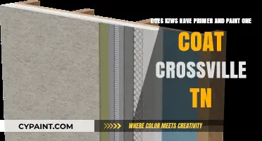 One-Coat Paint and Primer: Crossville TN's Kiwi Solution Explained