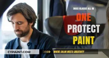 Klasse All-In-One: Does It Truly Protect Your Car's Paint?