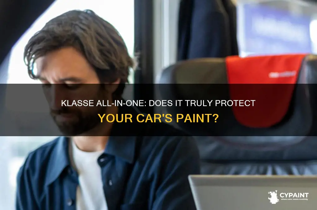 does klasse all in one protect paint