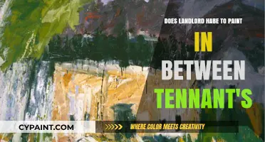 Landlord's Duty: Painting Between Tenants