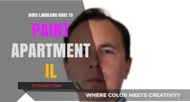 Illinois Landlord Responsibilities: Must They Paint Your Apartment?