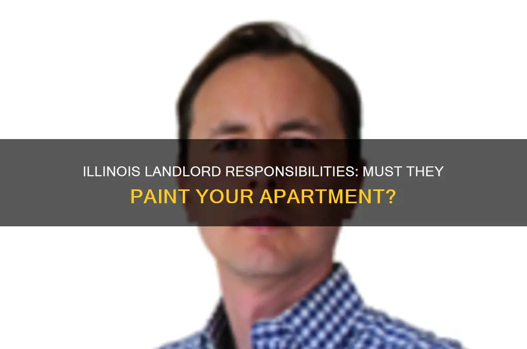 does landlord have to paint apartment il