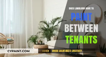 Landlord Responsibilities: Painting Between Tenants – What’s Required?