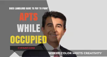 Landlord Responsibilities: Painting Occupied Apartments – Who Pays?
