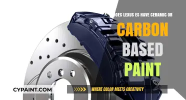 Lexus ES Paint: Ceramic or Carbon?