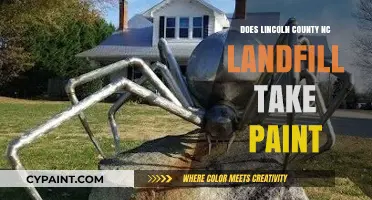 Lincoln County NC Landfill Paint Disposal: What You Need to Know