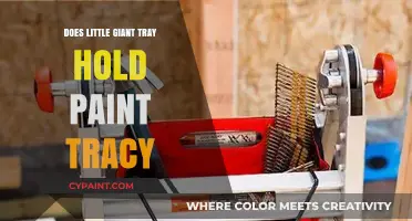 Little Giant Tray: Can It Hold Paint? Tracy's Review